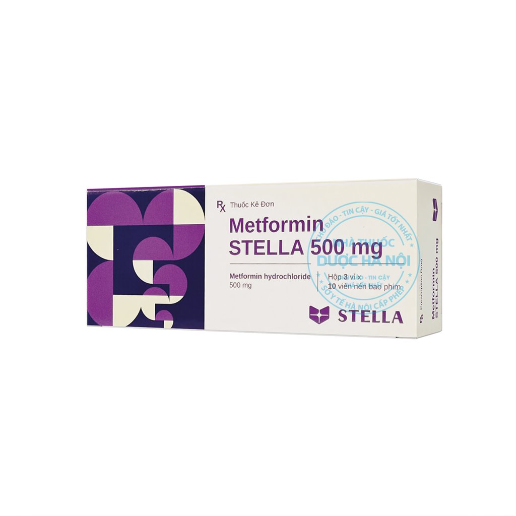 Metformin STD 500mg