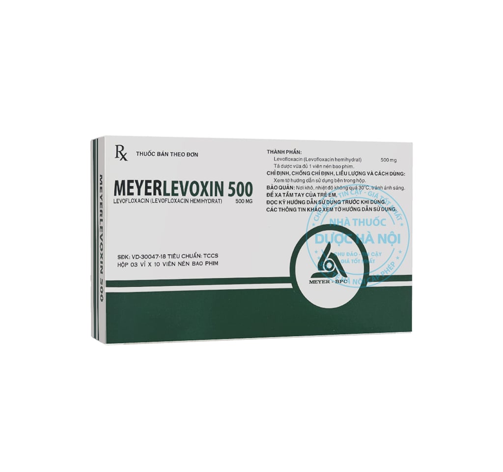 Thuốc kháng sinh Meyerlevoxin 500mg