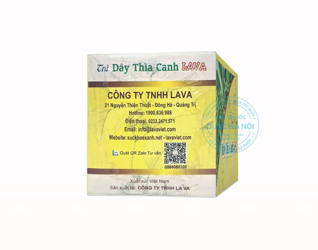 Trà dây thìa canh lava