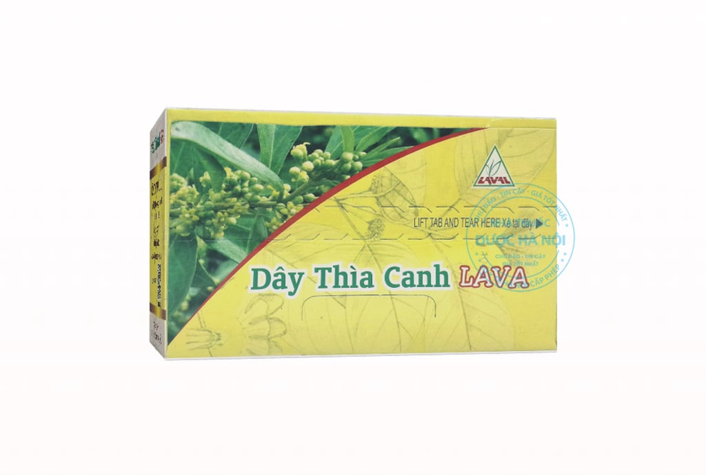 Trà dây thìa canh lava