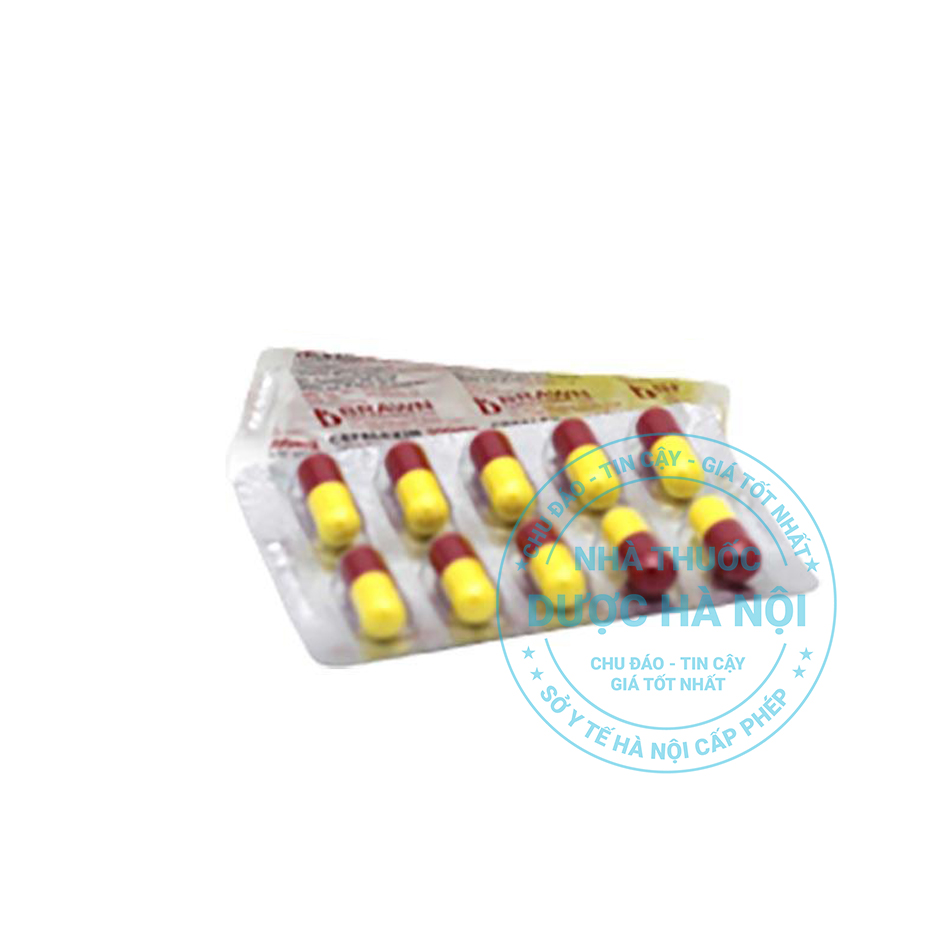 Thuốc kháng sinh Cefalexin 500mg