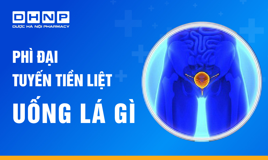 Phì đại tuyến tiền liệt uống lá gì